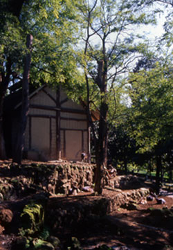 foto della stalla dei daini a valle giulia